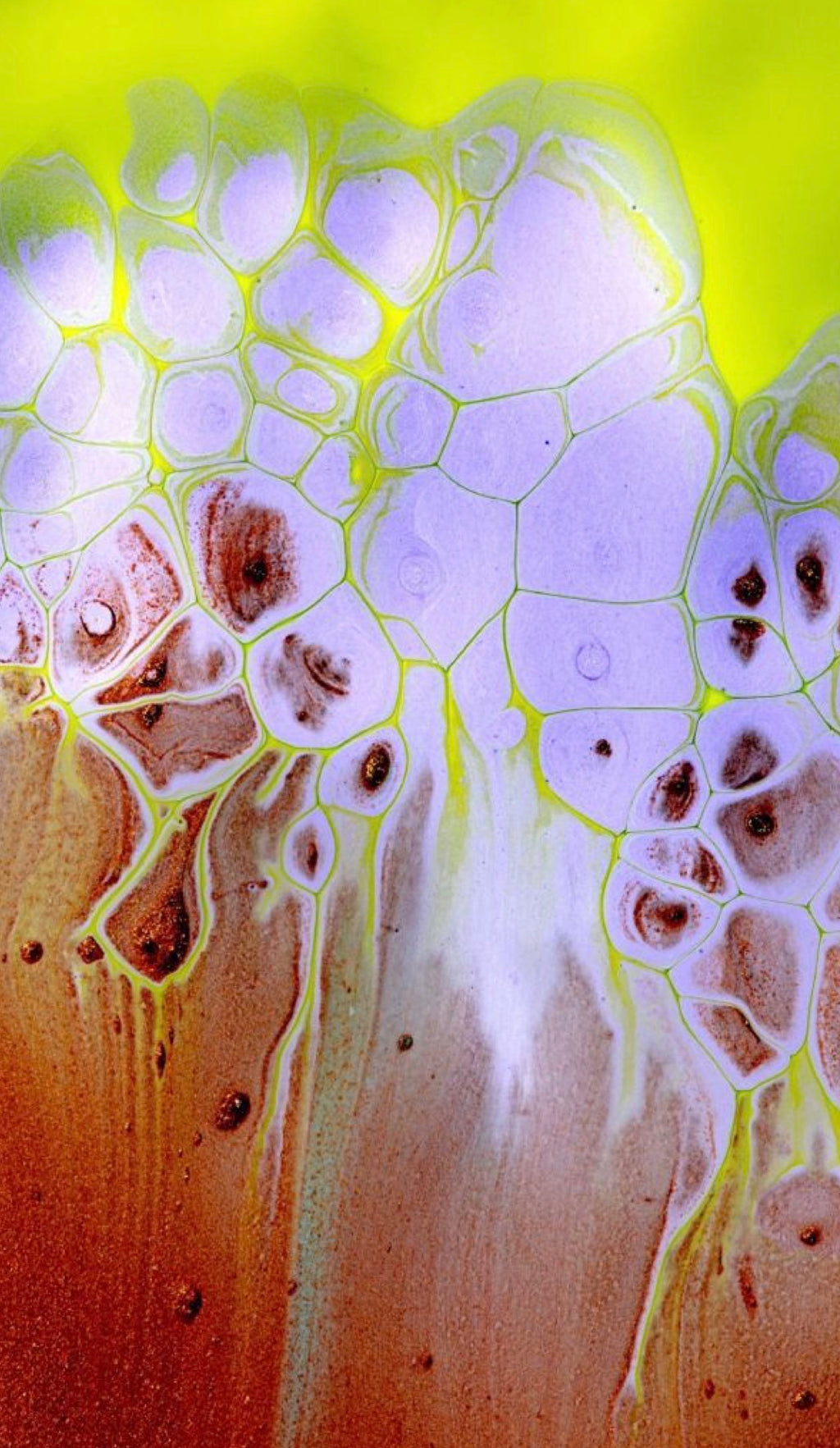 Under the Microscope